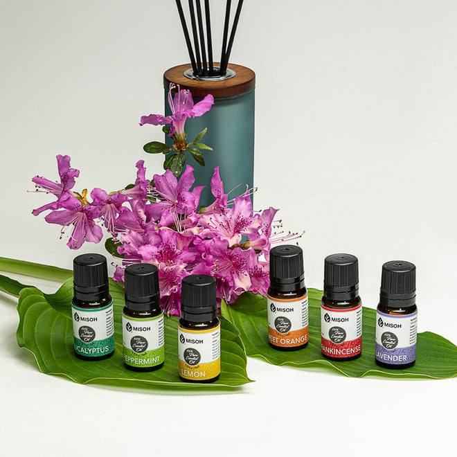 100% Pure Essential Oil Collection